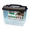 Penn-Plax New World Habitat for Small Animals & Critters - Medium