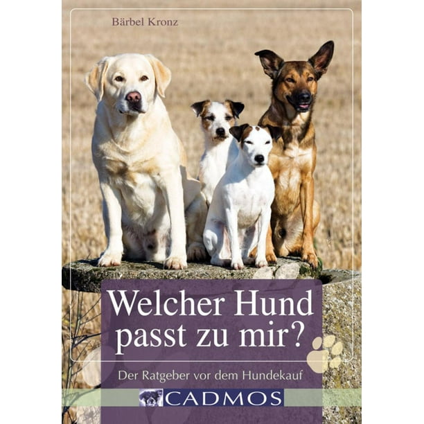 Test Welcher Hund Passt Zu Mir Test Welcher Hund Passt Zu Mir