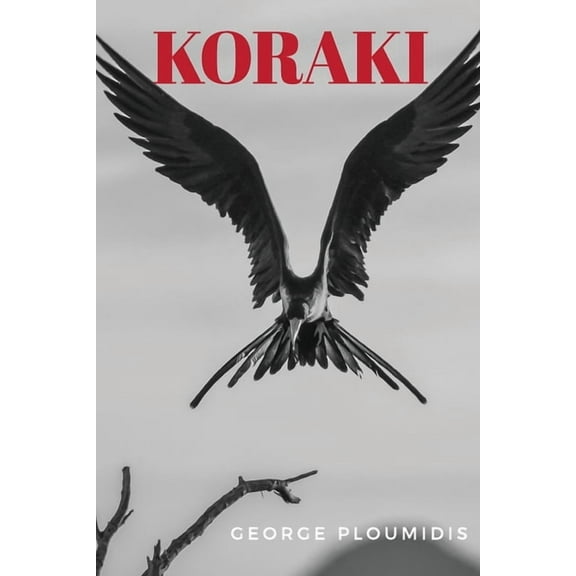Koraki (Paperback)