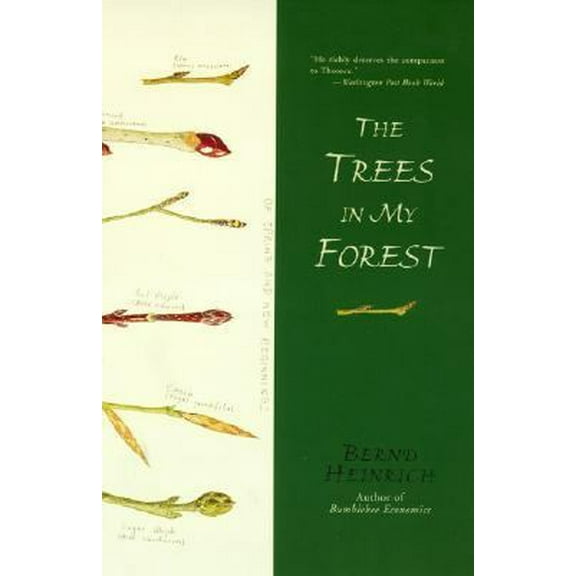 Pre-Owned The Trees in My Forest (Paperback) 0060929421 9780060929428