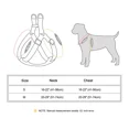 thumbnail image 3 of Pet Artist Personalized Dog Harness No Pull Dog Vest Harness with Custom Brass Buckle Name Engraved Adjustable for Small Medium Breeds, 3 of 7