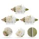 thumbnail image 1 of unbranded 3Ud Peine Para Con Decorativas Para Uso En Bodas Y Celebraciones, 1 of 6