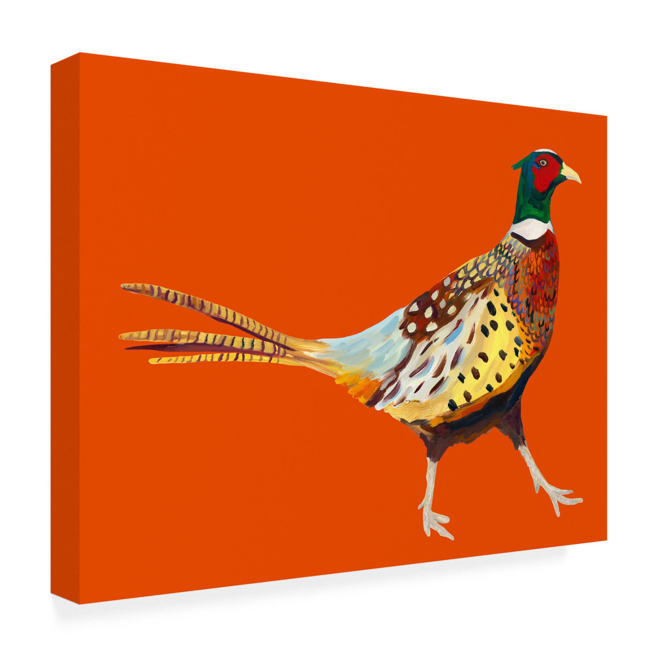 Trademark Fine Art Alice Straker Strutting Pheasant On Orange Canvas Wall Art