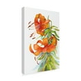 thumbnail image 2 of Trademark Fine Art 'Tiger Lilies' Canvas Art by Joanne Porter, 2 of 3