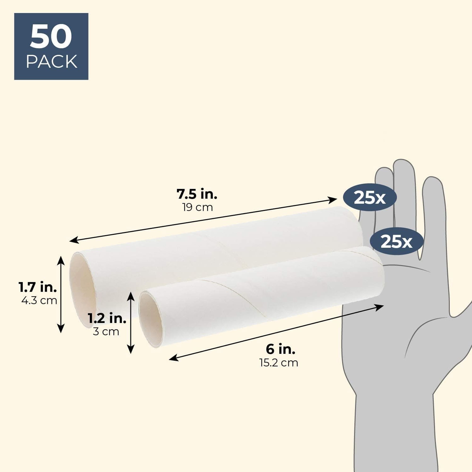 COHEALI 40 Pcs Cardboard Tube Crafts Paperplates Paper Tube Small Cardboard  Tubes Drawings Mailing Tubes Kraft Mailing Tubes White Round Combo Plate