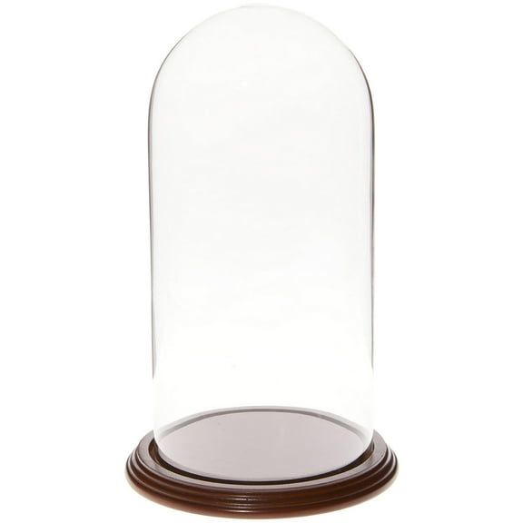 Plymor 5.5" x 11" Glass Display Dome Cloche (Walnut Veneer Base)