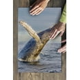 thumbnail image 3 of Humpback Whale Breaching (19x27 inches, Premium 500 Piece Jigsaw Puzzle for Adults and Family, Made in USA), 3 of 4