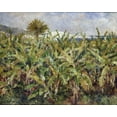 thumbnail image 2 of Renoir, Pierre-Auguste 24x20 Black Ornate Wood Framed with Double Matting Museum Art Print Titled - Field of Banana Trees, 2 of 4