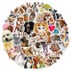 thumbnail image 1 of 50 pegatinas de animales, pegatinas de animales con fotos, los estudiantes de niños conocen el mundo animal real, impermeables, 1 of 5