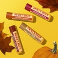 thumbnail image 4 of Burt's Bees 100% Natural Origin Moisturizing Lip Balm, Fall Variety Mix, 4 Tubes, 4 of 11