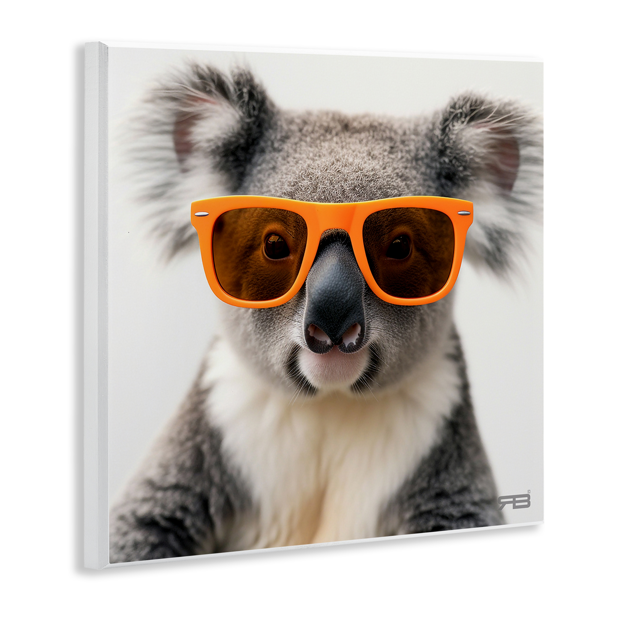 Stupell Industries Cool Koala & Glasses Animals Painting Unframed Art Print Wall Art, 12 x 12