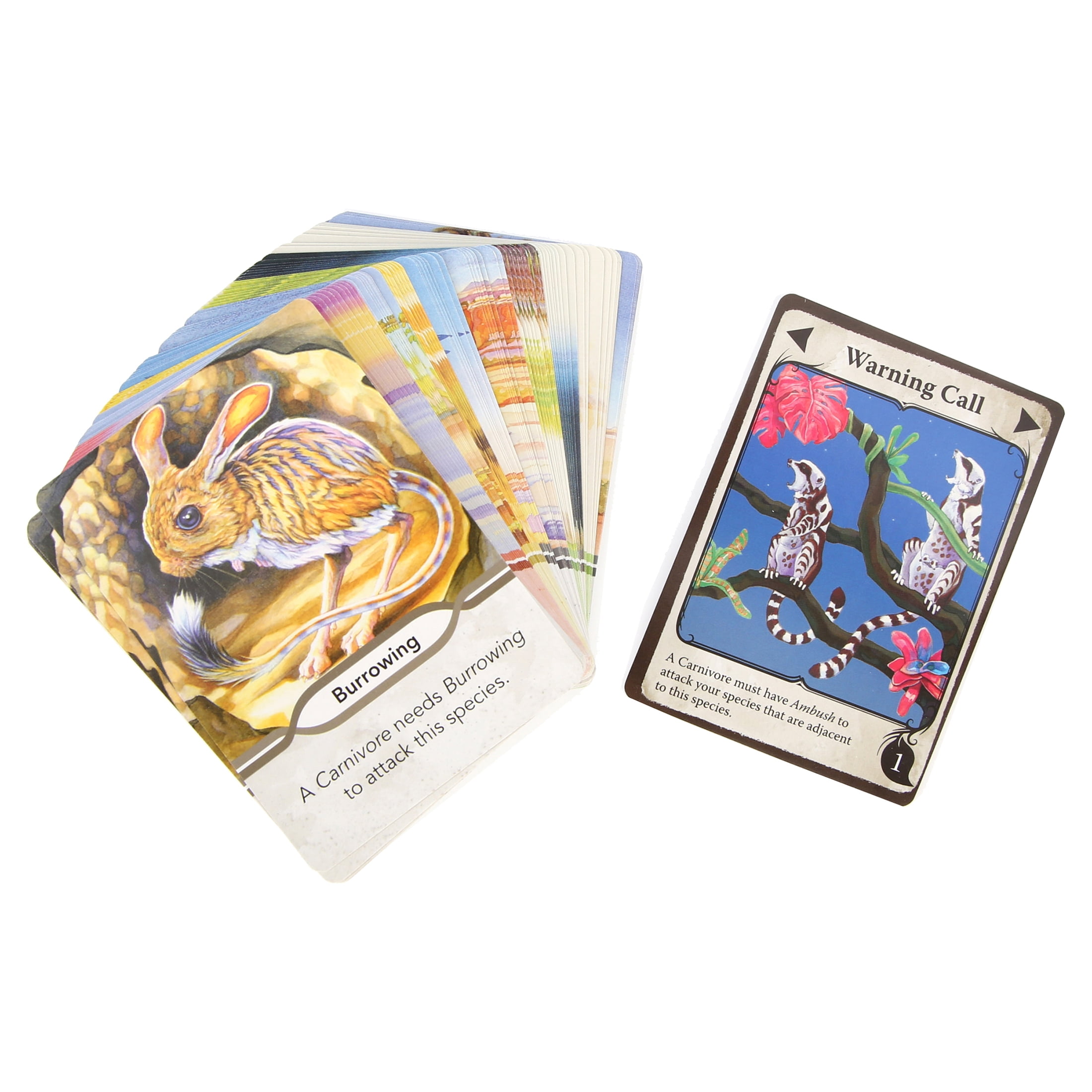 North Star Games Evolution: The Beginning Board Game – Strategic Card Game for 2-6 Players, Ages 10+