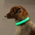 thumbnail image 3 of Pet Glow LED Collar Dog Rope USB Glow Small Collar, 3 of 4