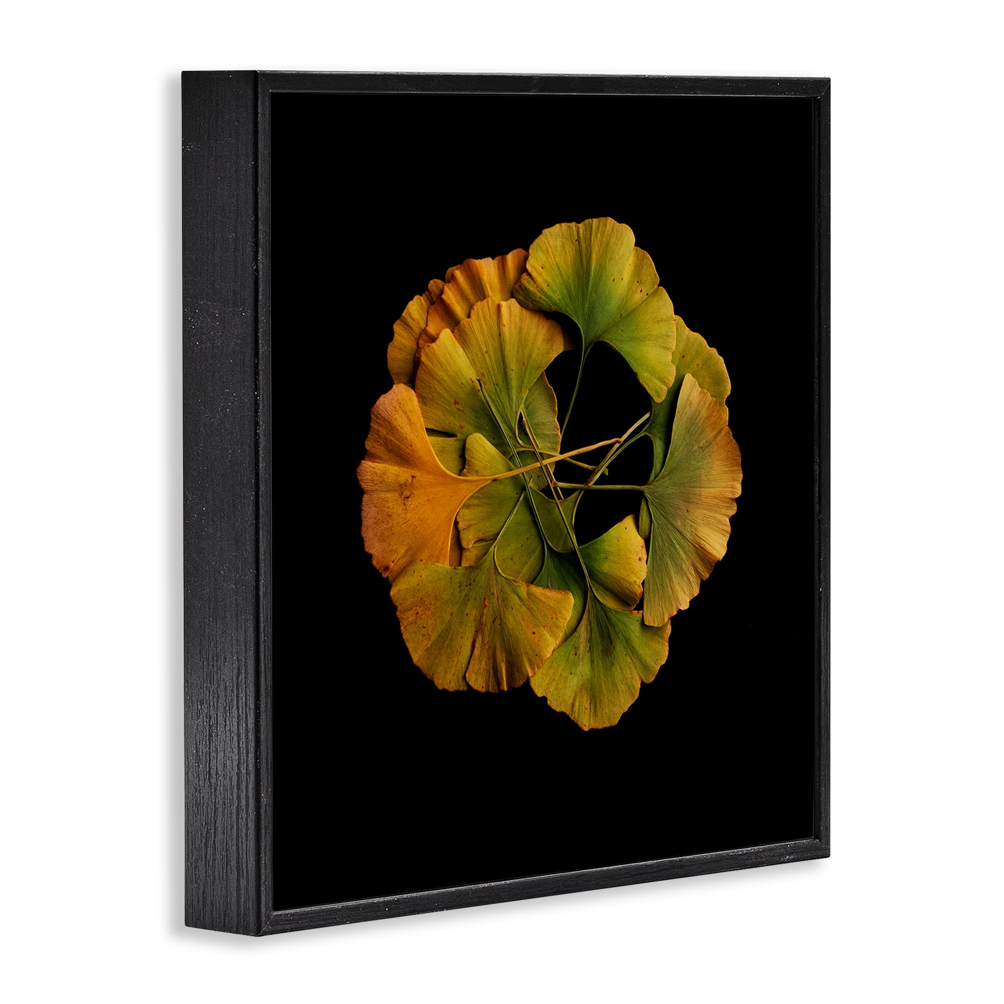 Stupell Industries Overlapping Ginkgo Leaves Black Framed Giclee Art, design by Beth Adoette