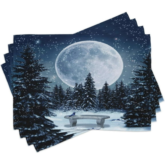 Winter Place Mats Set of 4, Dreamy Cold Night a Big Full Moon and Bench Park Stars in The Darkness, Washable Fabric Placemats for Dining Table, Standard Size, White Blue