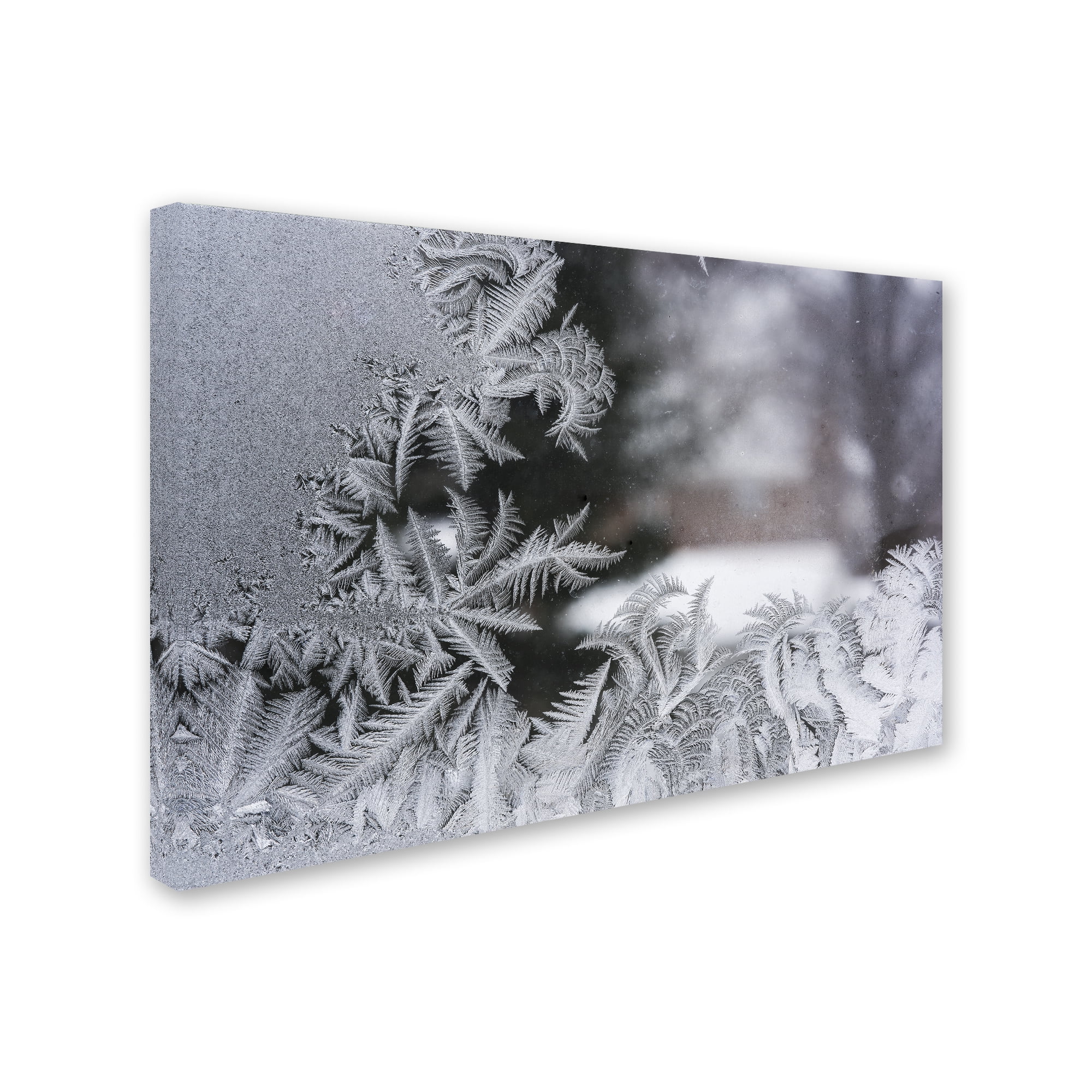 Trademark Fine Art 'Frost on my Window IV' Canvas Art by Kurt Shaffer
