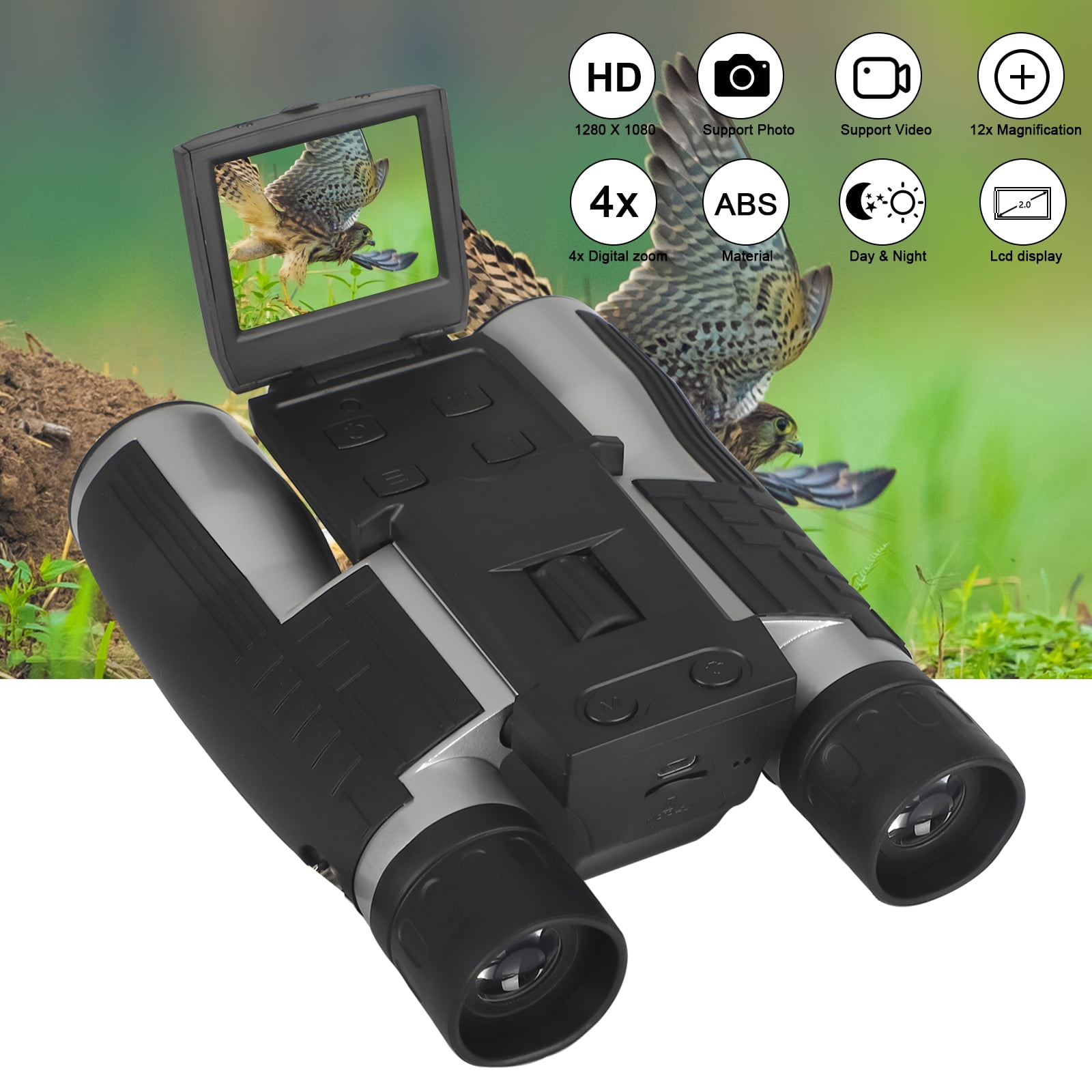 bird video camera