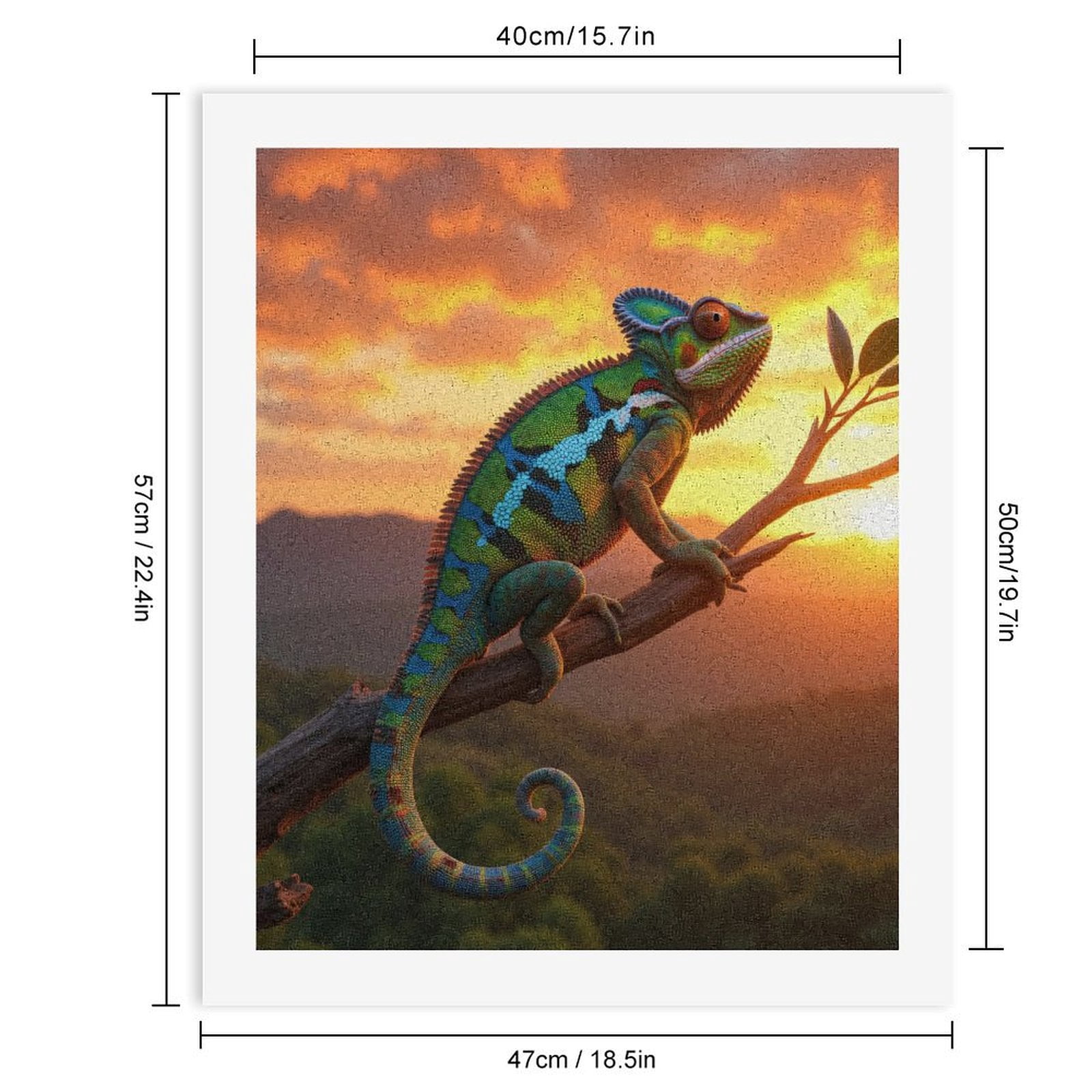 Paint by Numbers Kit for Adults, Colorful Chameleon Sunset Perch Paint by Numbers, Easy Paint by Numbers Kit for Adults Beginner, DIY Adult Paint by Number Kits on Canvas, Home Decor