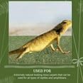 thumbnail image 6 of Milisten Green Artificial Grass Pet Terrarium Mat Soft Absorbent Cotton Reptile Carpet for Small Animals, 6 of 6