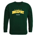 thumbnail image 1 of W Republic 564-271-FOR-05 Femmes College At Brockport Mom Chandail en Molleton en Molleton, Vert Forêt - 2TG, 1 of 1