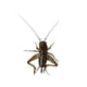 thumbnail image 1 of Pegatinas para insectos en la tapa del aceite del coche, 1 of 4