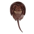 thumbnail image 4 of Figura Cangrejo Herradura Safari Ltd 261429 17cm, 4 of 5