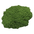 thumbnail image 2 of Clearance Under $5 Artificial Moss Powder Green Realistic DIY Terrarium Bonsai Garden Craft Decor,1PC,Green, 2 of 9