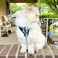 thumbnail image 4 of Voyager Step-In Lock Dog Harness & Reflective Leash Set w/ Neoprene Handle 6ft - For Small to Large Breed Dogs/ Cats, Cute & Heavy-Duty for Walking, Running & Training - Baby Blue Black Trim, XL, 4 of 9