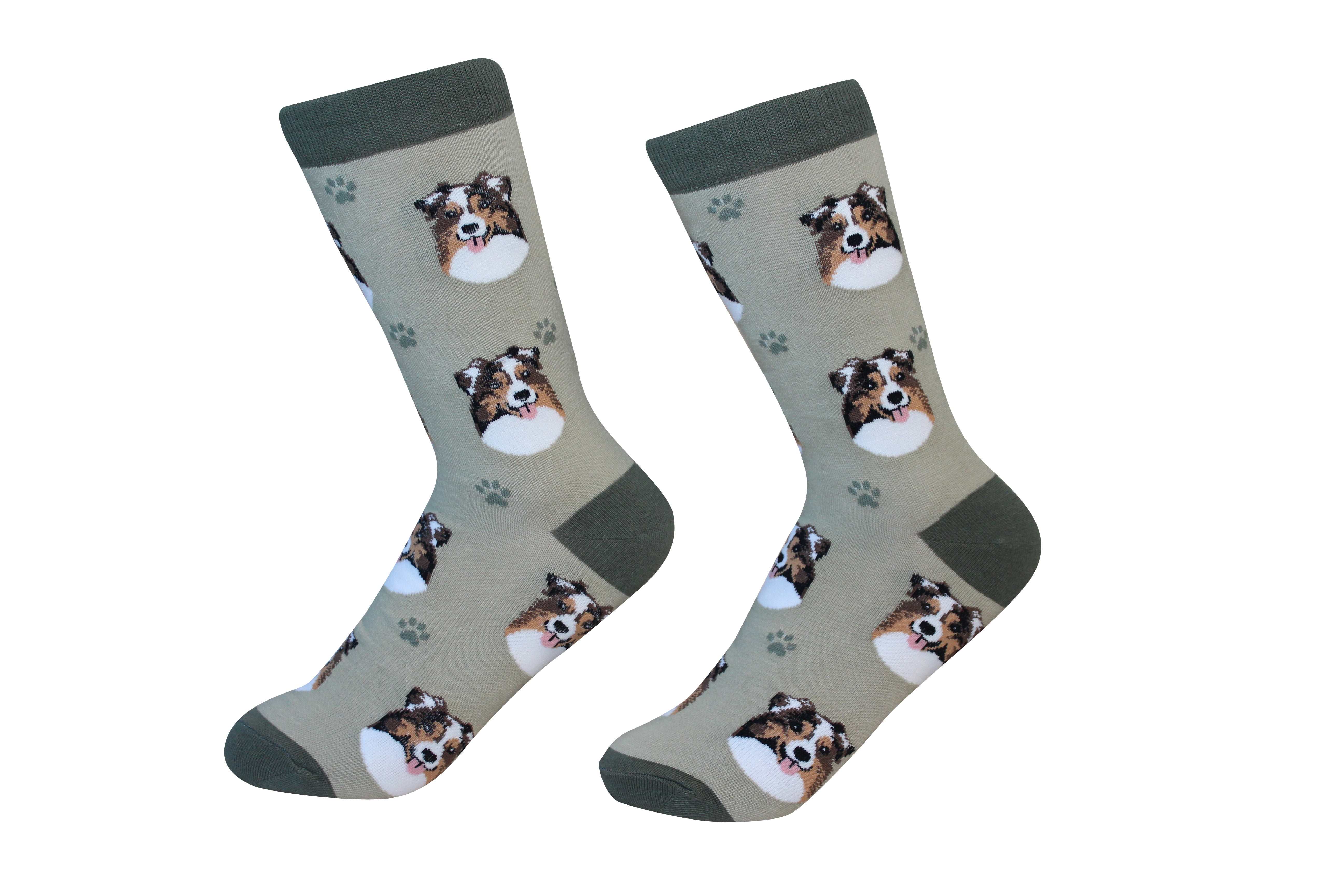 Australian Shepherd Animal Socks On Gray 9-11