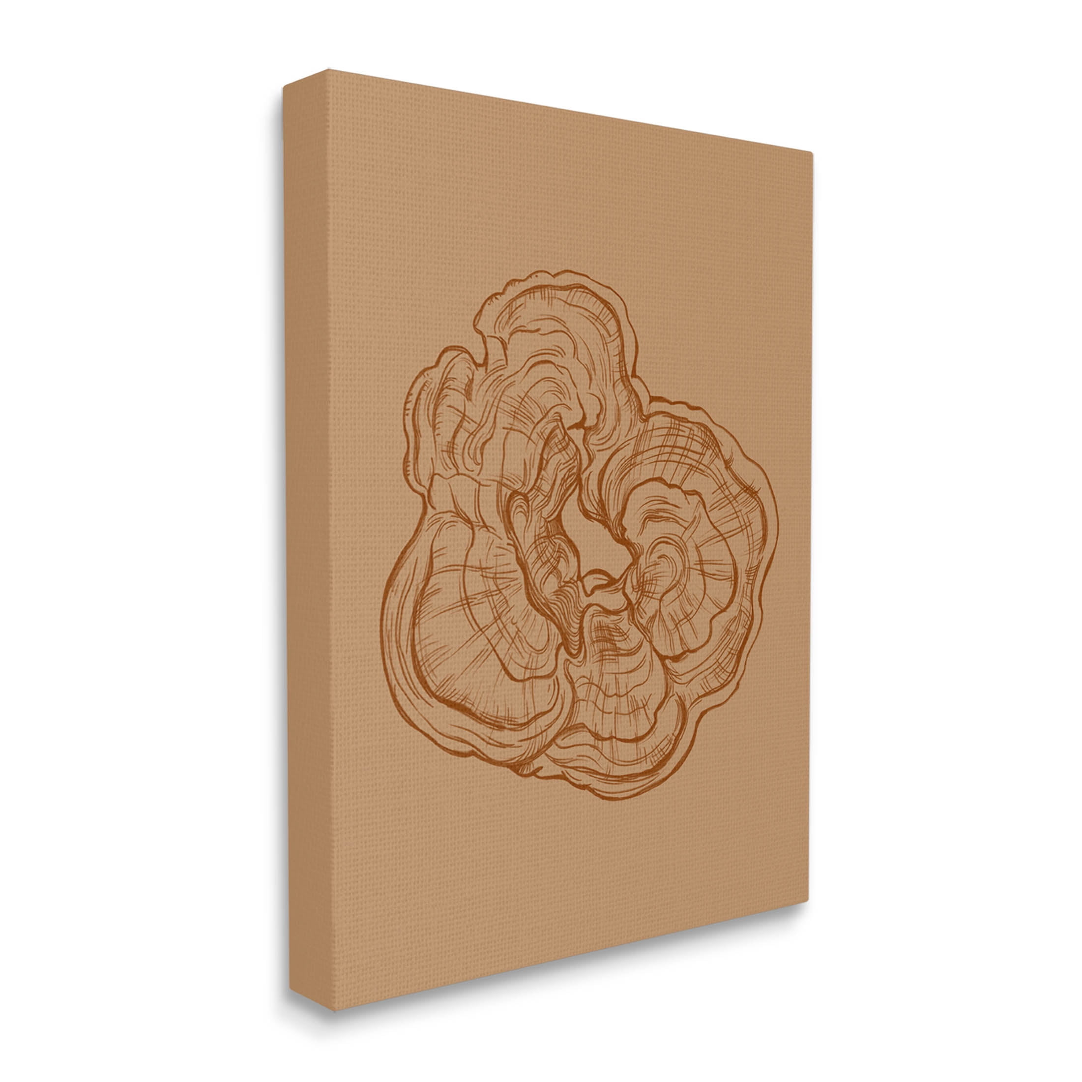 Stupell Industries Detailed Nature Botanical Fungus Graphic Art Gallery Wrapped Canvas Print Wall Art, Design by Ziwei Li