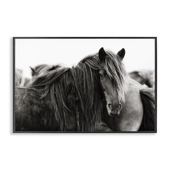 Stupell Industries Farmhouse Gazing Horse Among Herd Black Framed Giclee Art, 18 x 12, by PHBurchett