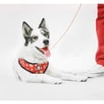 thumbnail image 4 of Kole Imports AG370 Fresh Pawz Monogram Hype Red Mesh Harness - Extra Small - Pack of 16, 4 of 8