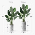 thumbnail image 4 of Artificial Tree in Gray Marble Effect Planter, Fake Bird of Paradise Silk Tree for Indoor and Outdoor Home Decoration - 58" Overall Tall (Plant Pot Plus Tree), 4 of 5