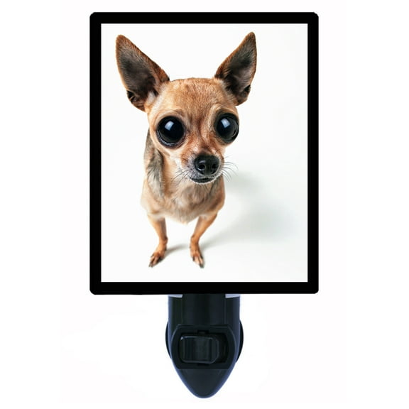 Night Light - Look Into My Eyes. | Chihuahua Theme, Includes Free Switchable Insert, 4W Bulb, E12 Base
