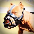 thumbnail image 1 of Pet Soft Barking Silicone Mouth Mask Anti Bark Muzzle for Dogs, 1 of 8