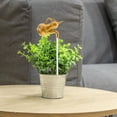 thumbnail image 4 of Luxshiny Fountain Gourd Fountain Golden Reusable Plastic Home Owners 1Pcs, 4 of 7
