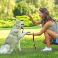 thumbnail image 3 of Dog Prong Training Collar, Adjustable Stainless Steel Links With Comfort Rubber Tips, Hi, 3 of 4