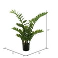 thumbnail image 2 of Vickerman 28" Potted Green Zamifolia Artificial Bush., 2 of 6