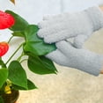 thumbnail image 2 of EvridWear Microfiber Dusting Gloves , Dusting Cleaning Glove for Plants, Blinds(Grey), 2 of 9
