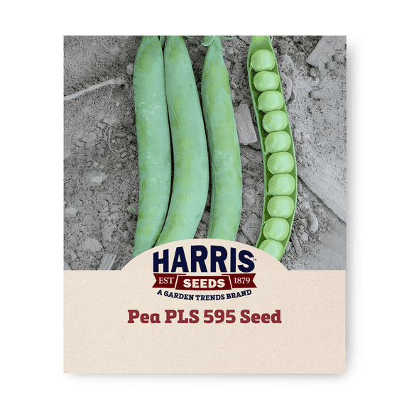 Harris Seeds Pea PLS 595 Organic Seeds for Planting Vegetable - 50 Seeds