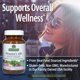 thumbnail image 4 of Suplemento multivitamínico Nature's Answer 100 para mujeres, 60 cápsulas, 4 of 7