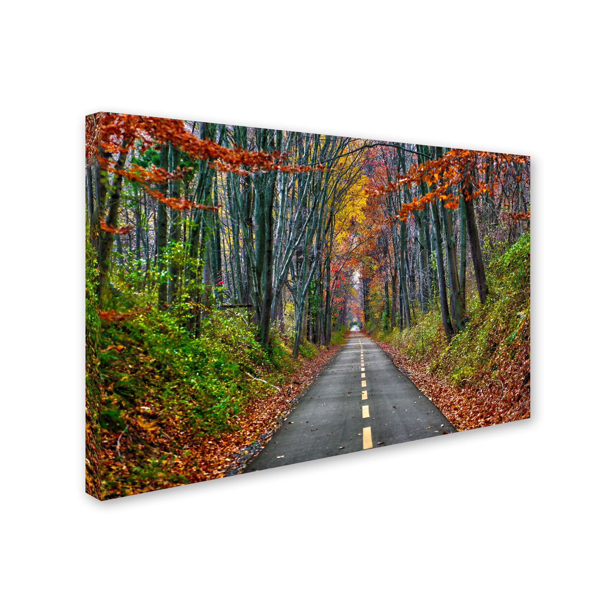 Trademark Fine Art "Paths" Canvas Art by CATeyes