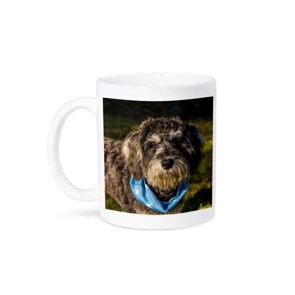 Seven Month Old Schnoodle Puppy Wearing A Bandana Outside. , 11oz Mug