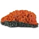 thumbnail image 4 of Adornos de acuario, suministros de resina para arrecife de Coral, decoraciones temáticas, accesorios para plantas acuáticas, peceras, 4 of 6