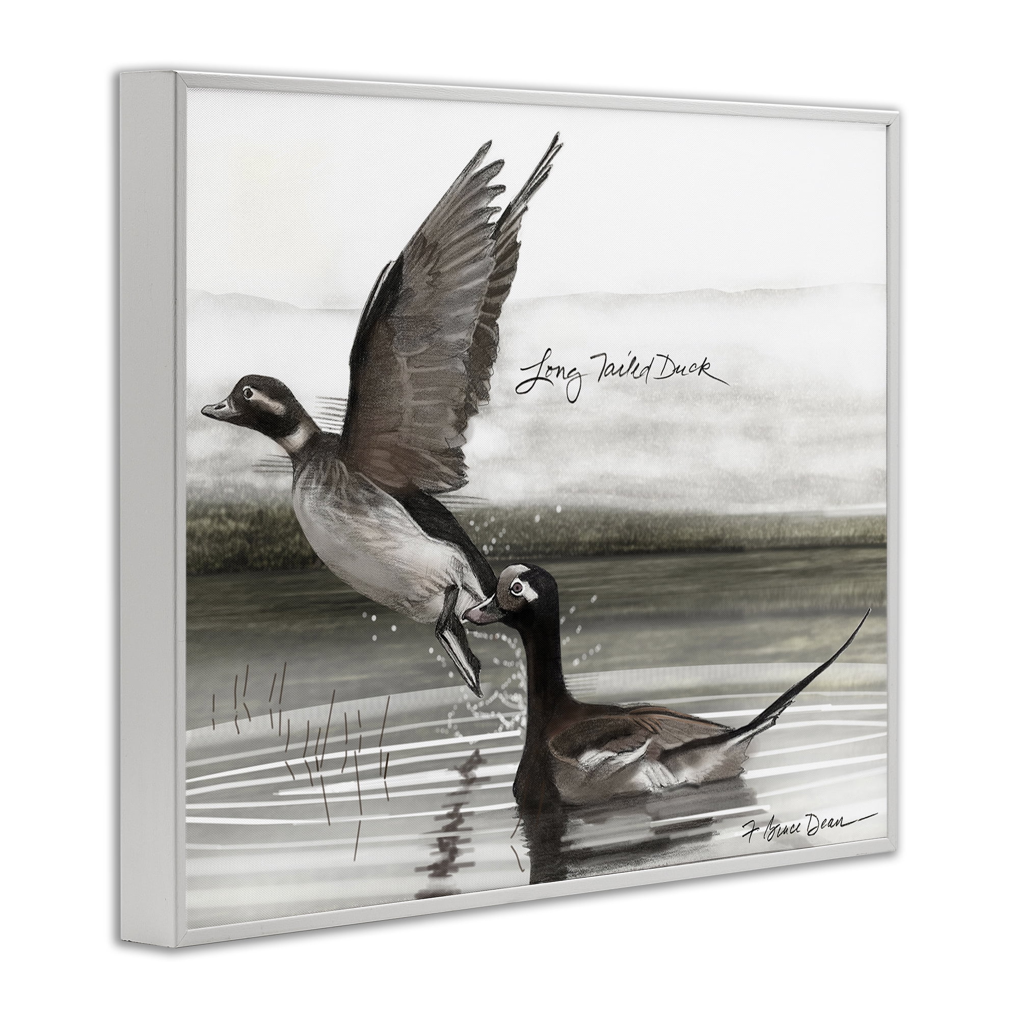 Stupell Industries Long Tailed Duck Animals & Insects Painting White Framed Art Print Wall Art, 14 x 11