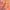 Abstract Pink Flowers, variant on Yayeee Kitchen Curtains Set of 2 Light Filtering 57"x24" Over Sink Window Panels, Orange Checkered Pattern