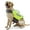 Green, variant on KASENTEX Dog Life Jacket with Reflective Stripes, Buckle Adjustable Dog Life Vest, Orange, Large