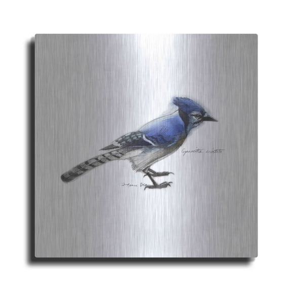 Luxe Metal Art 'Songbird Study III' by Bruce Dean, Metal Wall Art, 24"x24"