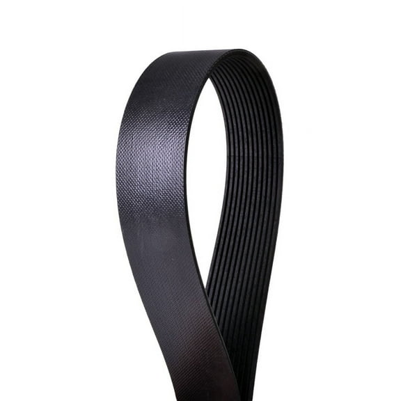 Automotive Extreme Duty Multi-V Belt