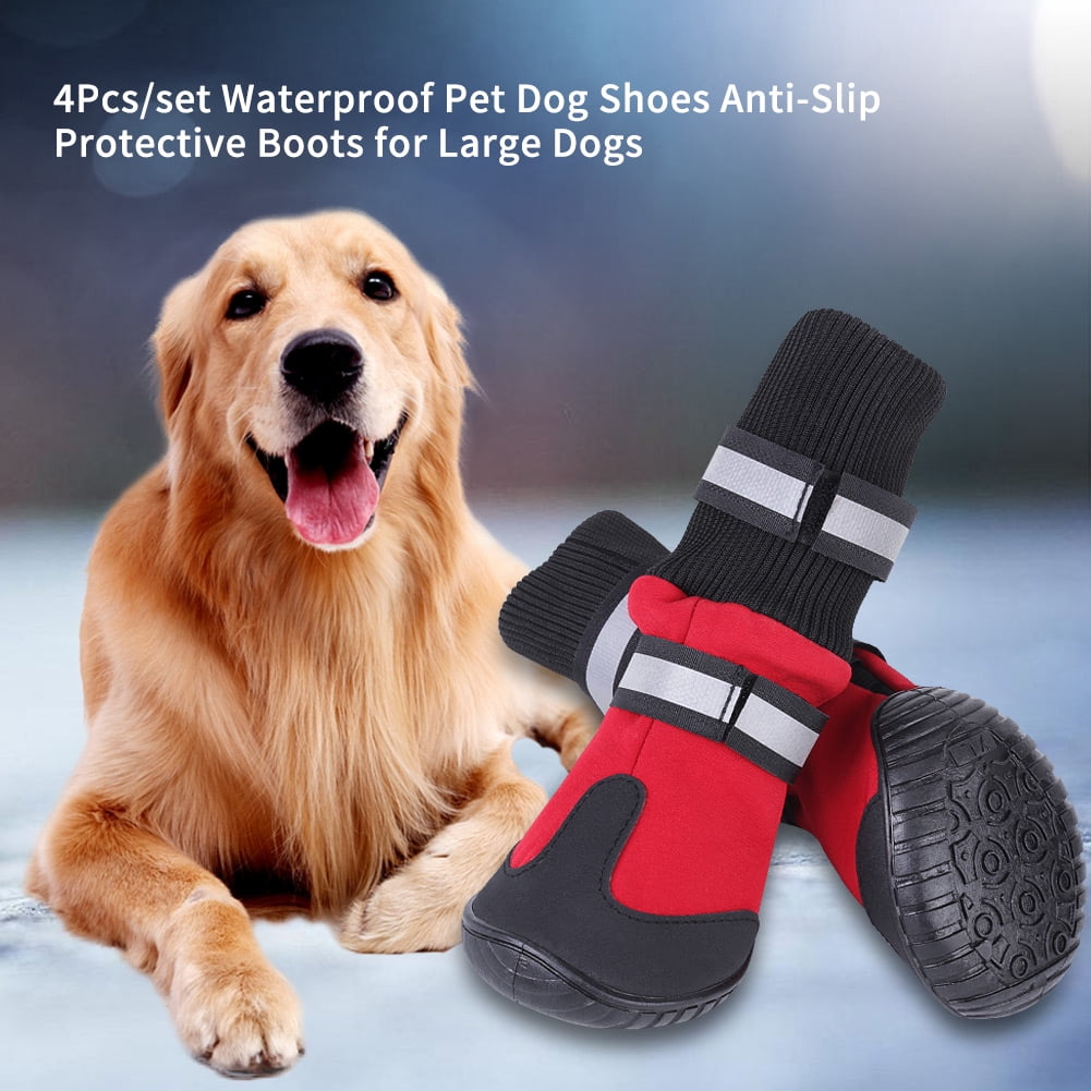 large dog boots that stay on